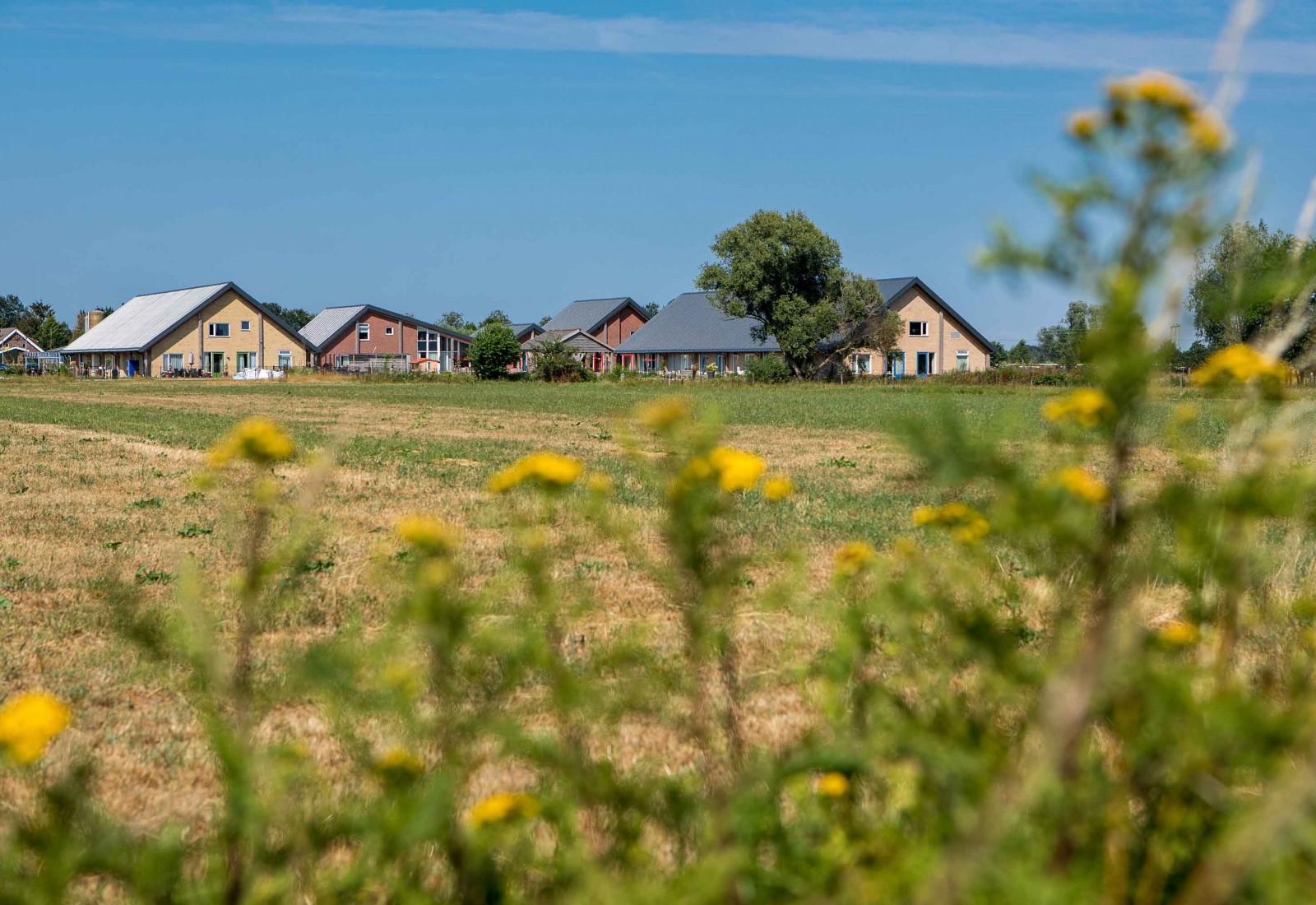 Thumbnail for Fotografie Eemhorst te Soest